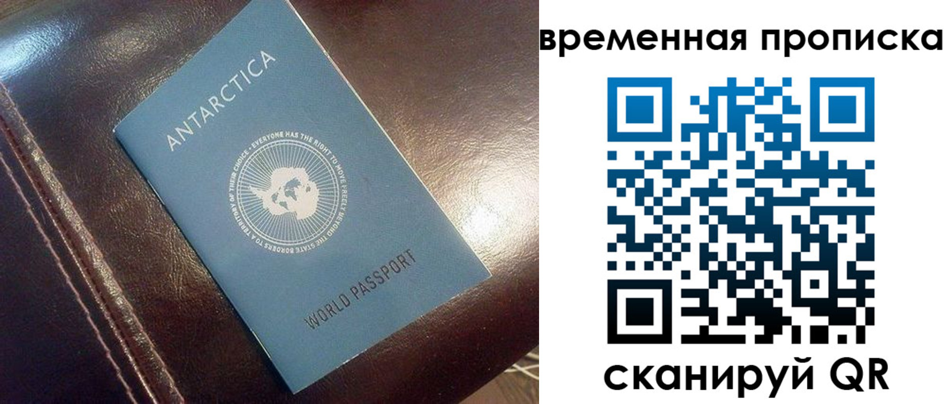 прописка паспорт в Опочке
